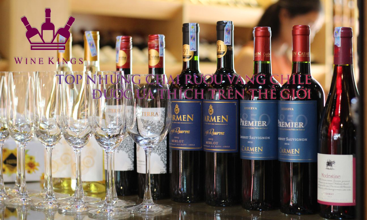 Top những chai rượu vang Chile được ưa thích trên thế giới