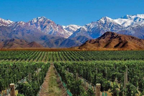 Vùng Cuyo - Vùng đất rượu vang lớn nhất Argentina