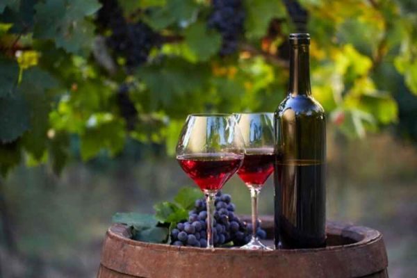 Khám phá loại rượu vang Bordeaux nổi tiếng