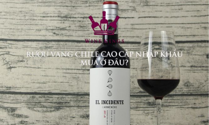 Rượu vang Chile cao cấp nhập khẩu mua ở đâu?