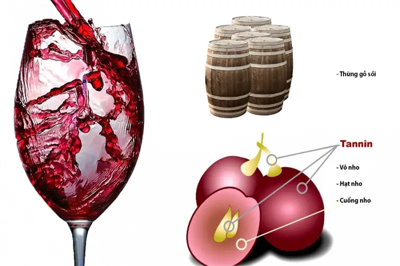 Tìm hiểu về chất Tannin đặc biệt trong rượu vang