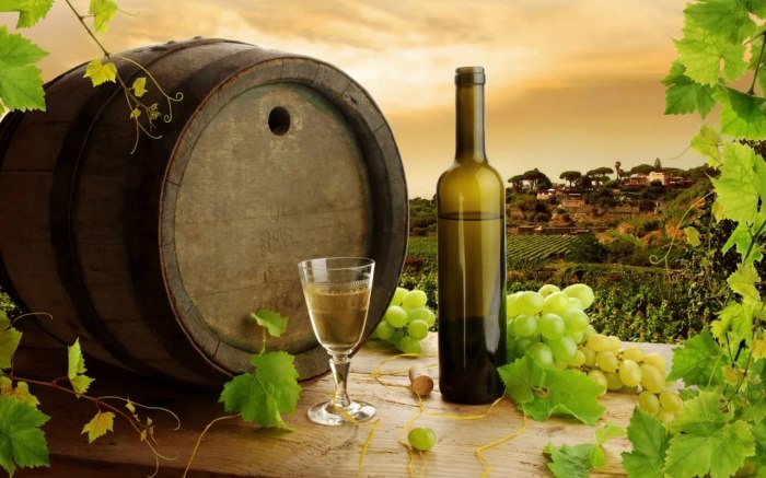 Checklist các quốc gia sản xuất rượu vang lớn nhất thế giới
