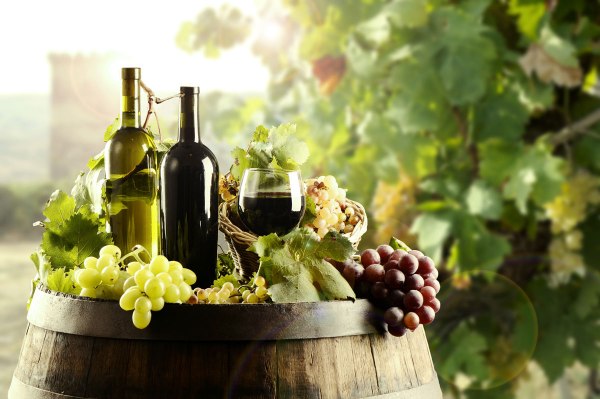 Rượu vang hữu cơ là gì? Có tốt hơn so với rượu vang thông thường hay không? 