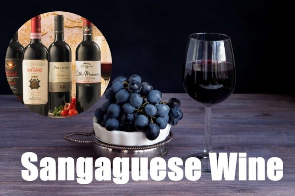 Tìm hiểu rượu Sangaguese là gì? "Tắc kè hoa" đầy bí ẩn và thú vị