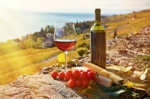 Quốc gia và khu vực sản xuất rượu vang