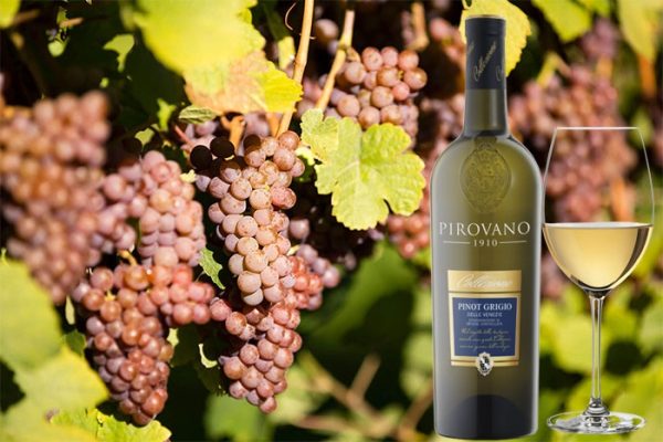 Tìm hiểu rượu vang Pinot Grigio là gì