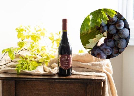  Tìm hiểu về giống nho Corvina và rượu vang Corvina đặc điểm, hương vị 