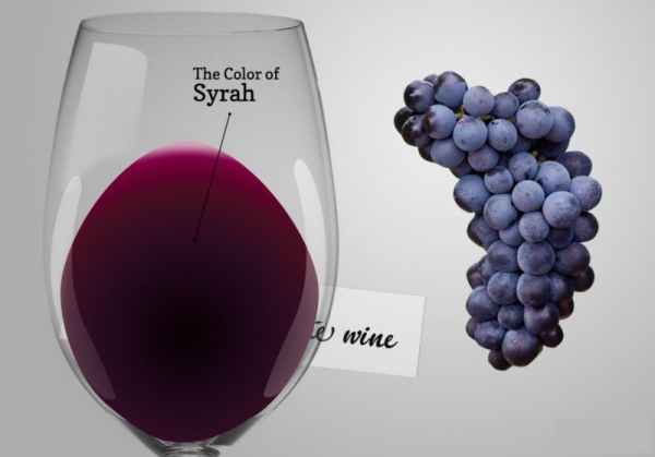 Hương vị nổi bật của dòng rượu vang làm từ nho Syrah