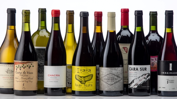 4 lý do chính đáng để bạn nên uống rượu vang Chile 