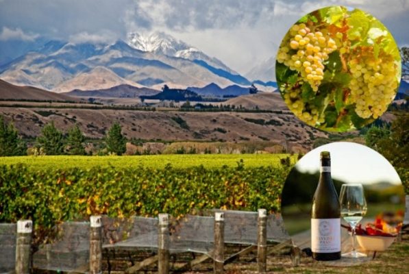 - Tìm hiểu rượu vang vùng Marlborough ở New Zealand 