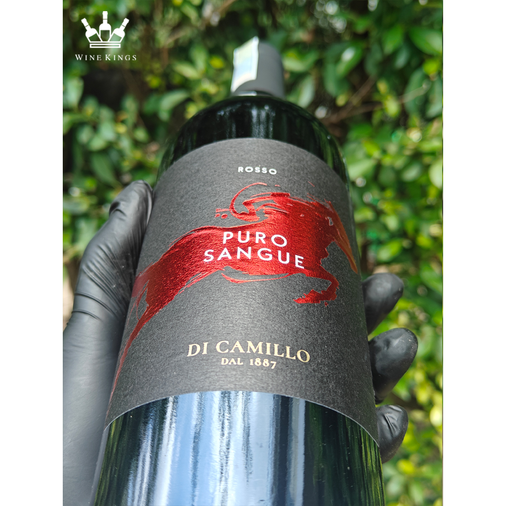 Puro-Sangue-Di-Camillo-3 Puro Sangue Di Camillo 3 1