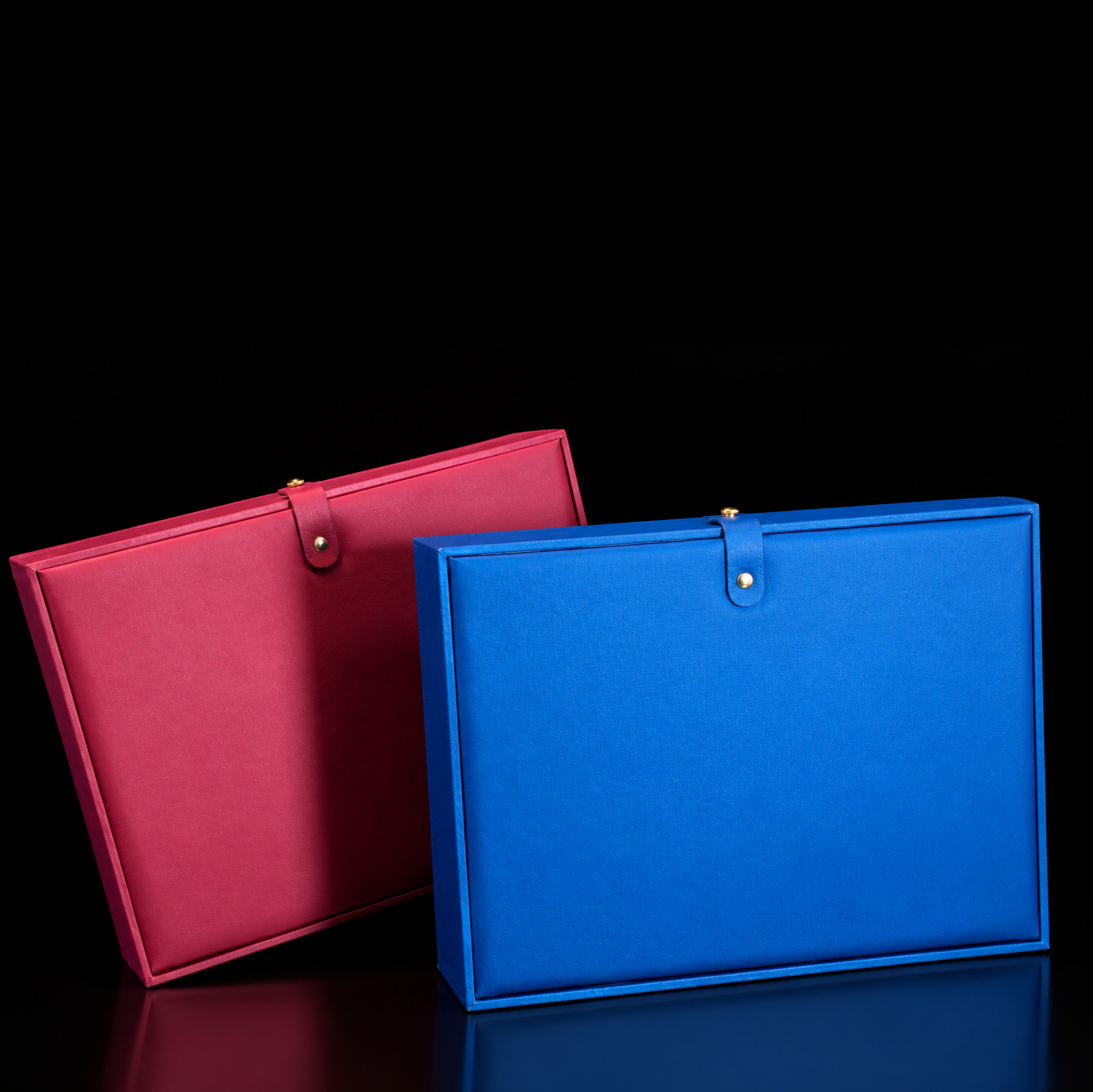 Magenta and Blue Luxury Presentation Cases 1